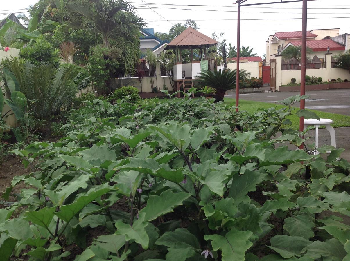 Danel Pensionne House Tacloban Exteriér fotografie